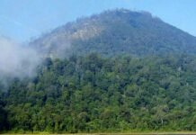 Misteri Dewi Rengganis, Sang Penunggu Gunung Argopuro